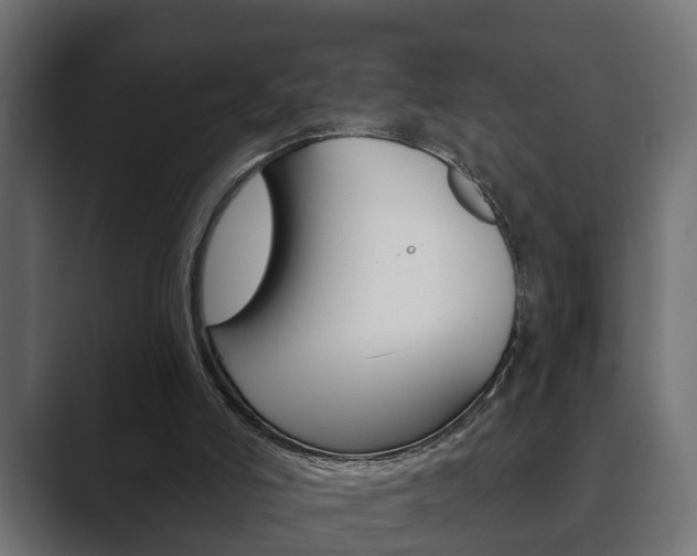 X0000089880006200706281100