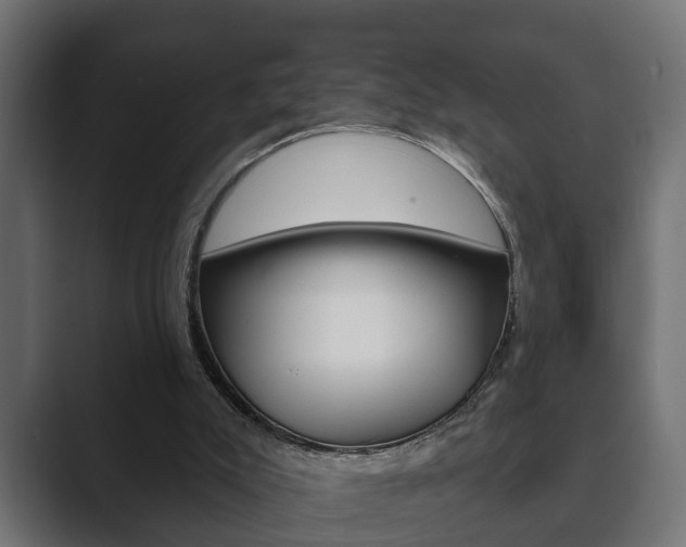 X0000089880007200706281100