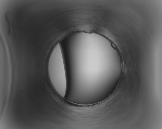 X0000089880013200706281059