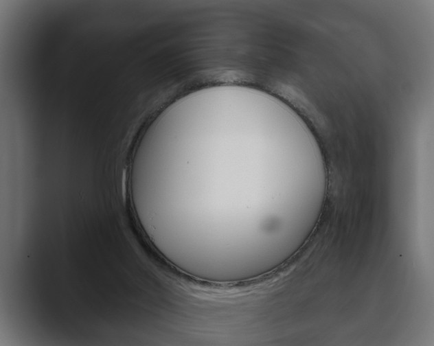 X0000089880014200706281059