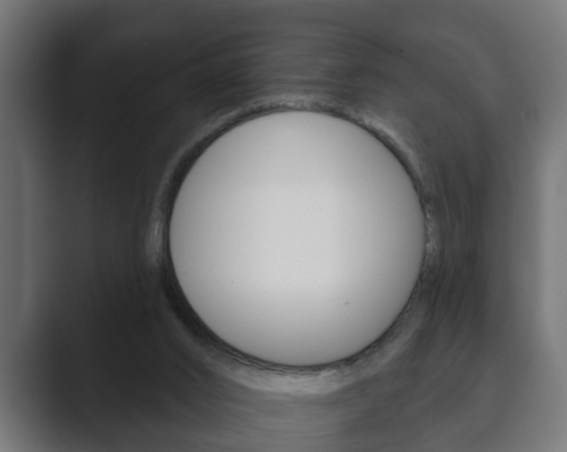 X0000089880016200706281059