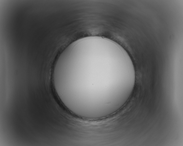 X0000089880018200706281059