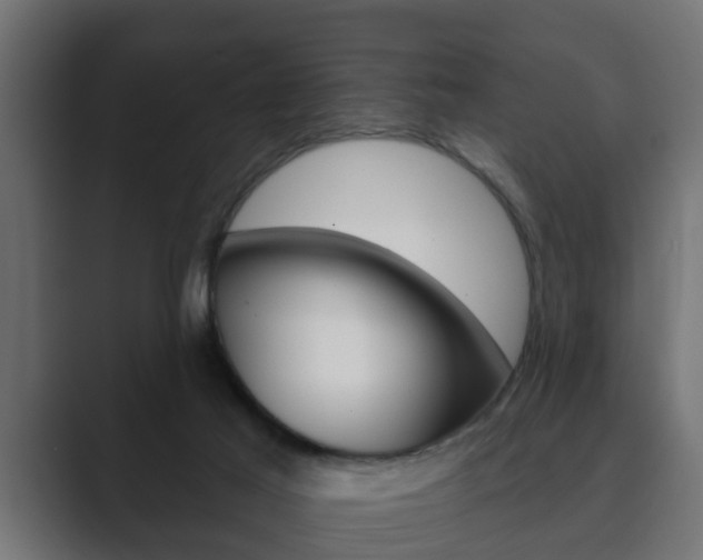 X0000089880021200706281059