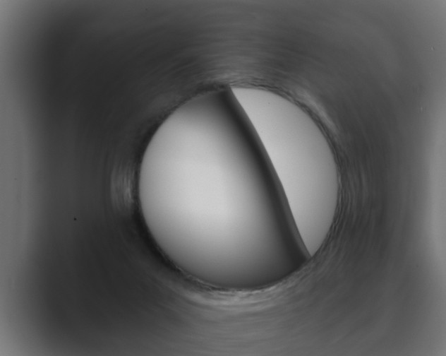 X0000089880023200706281059