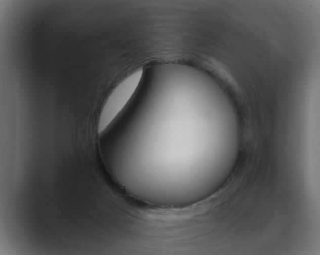 X0000089880025200706281059
