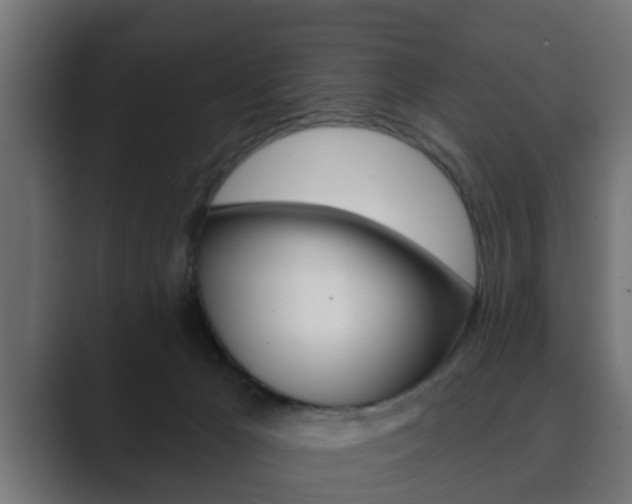 X0000089880029200706281059