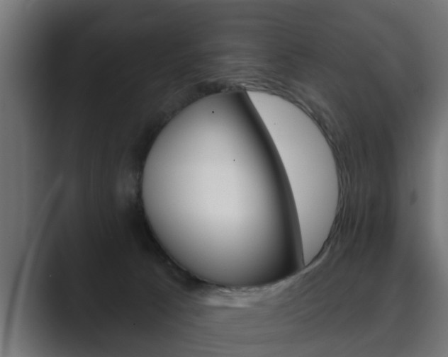 X0000089880033200706281059