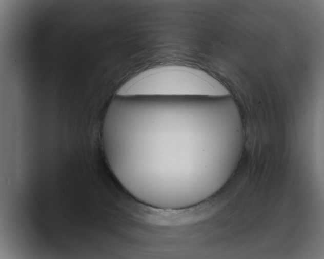 X0000089880034200706281059