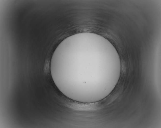 X0000089880036200706281059