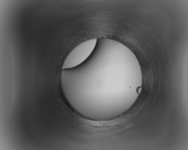 X0000089880038200706281059
