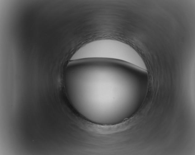X0000089880039200706281059