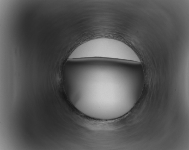 X0000089880040200706281059