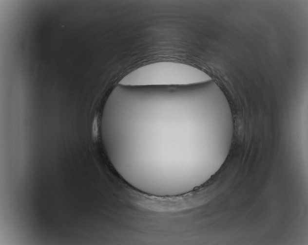 X0000089880042200706281059