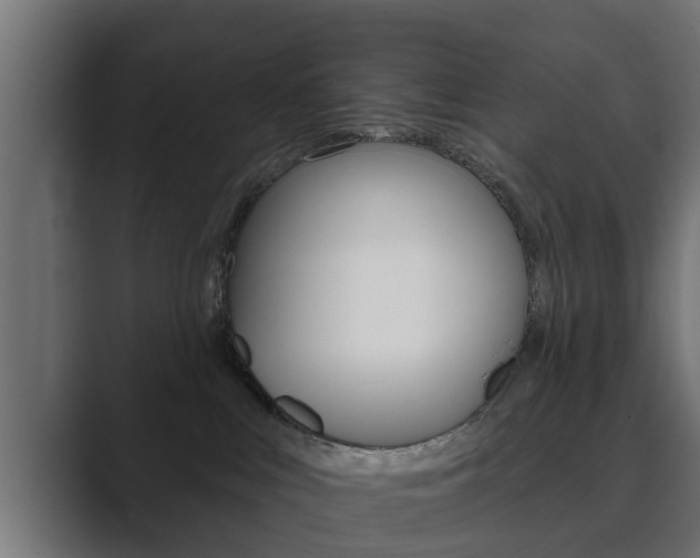 X0000089880043200706281059