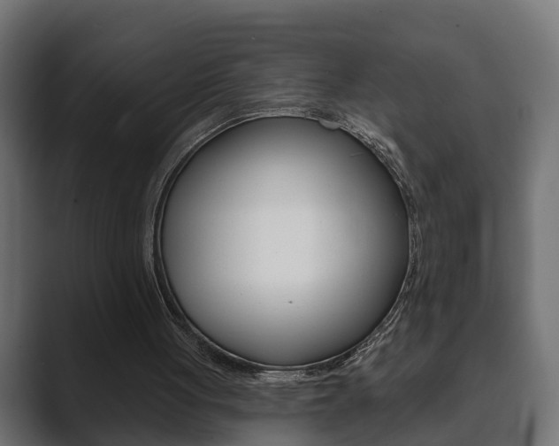 X0000089880051200706281058