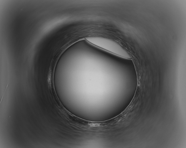 X0000089880052200706281058