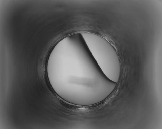 X0000089880053200706281058