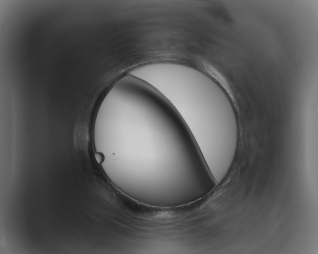 X0000089880059200706281059
