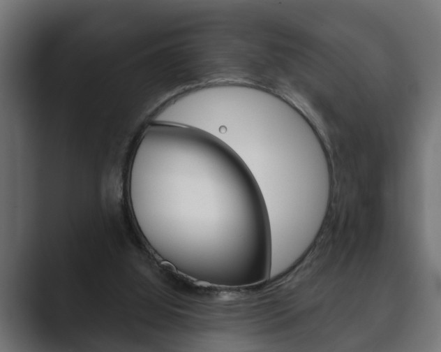 X0000089880060200706281059