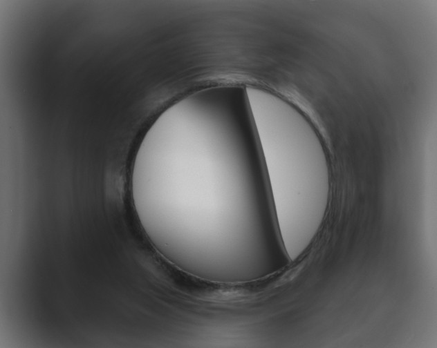 X0000089880063200706281059