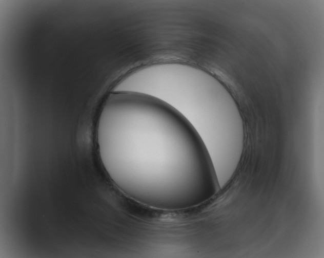 X0000089880064200706281059