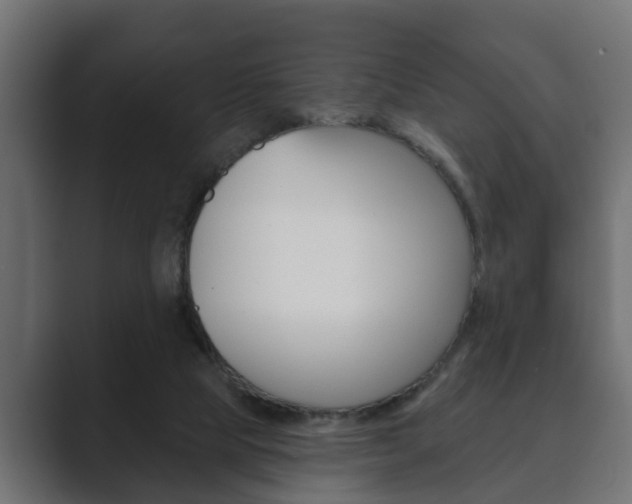 X0000089880065200706281059