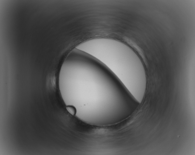 X0000089880067200706281059