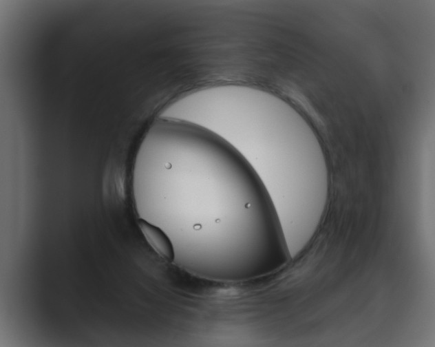 X0000089880068200706281059