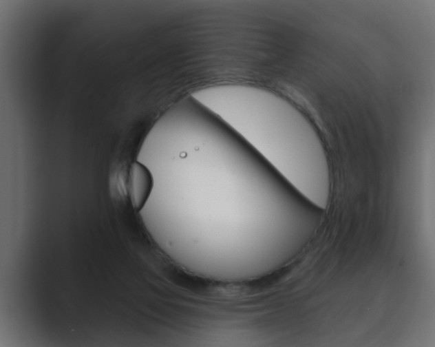 X0000089880069200706281059