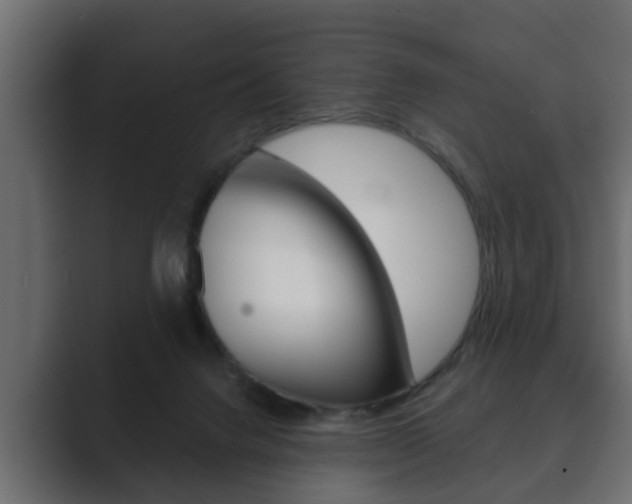 X0000089880072200706281059