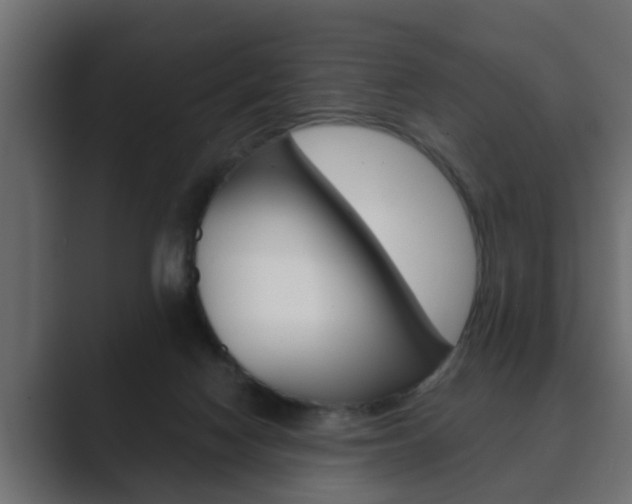X0000089880074200706281059