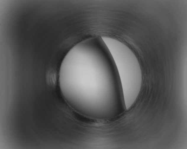 X0000089880076200706281059