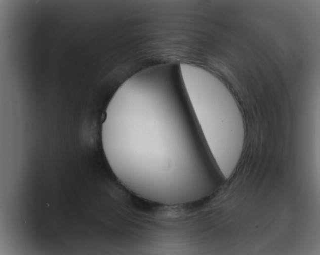 X0000089880077200706281059