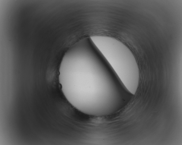 X0000089880079200706281059