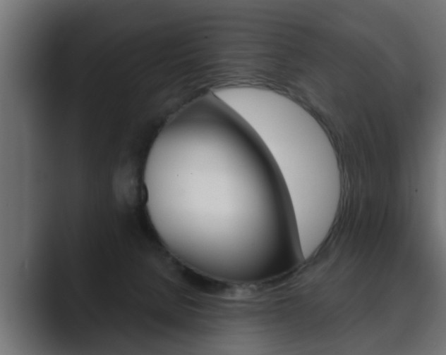 X0000089880080200706281059