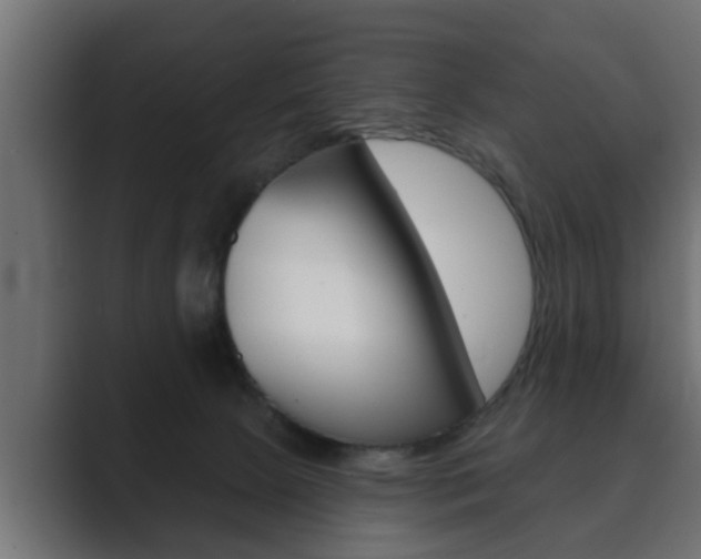X0000089880081200706281059