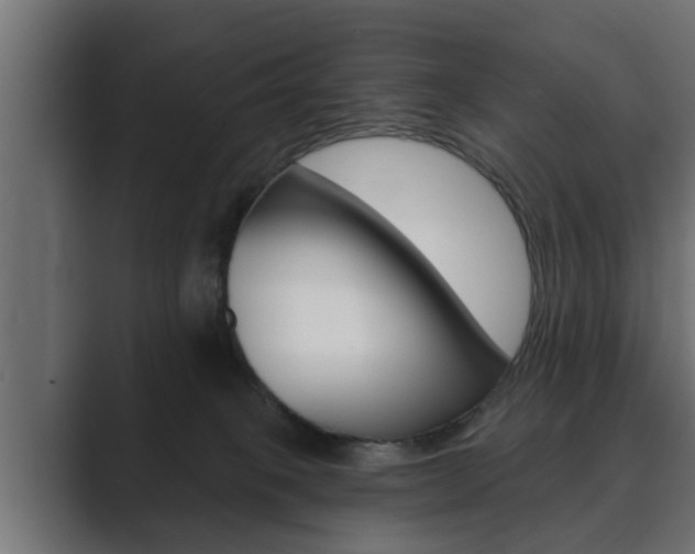 X0000089880085200706281059