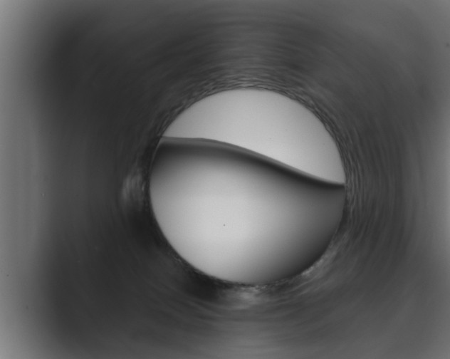 X0000089880086200706281059