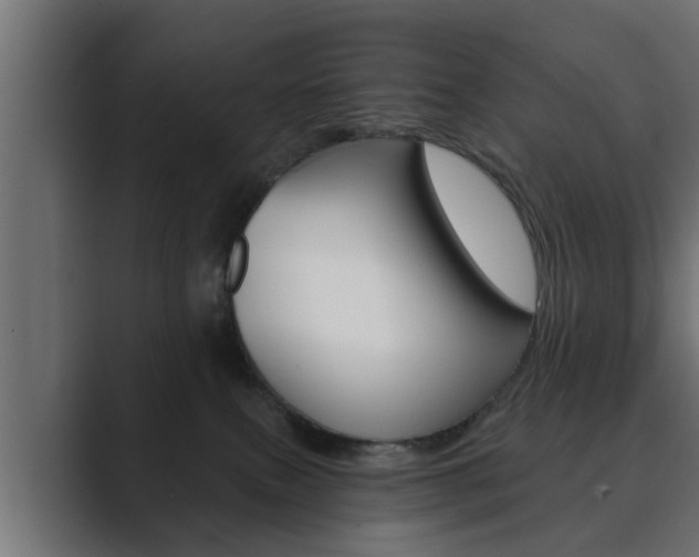 X0000089880087200706281059