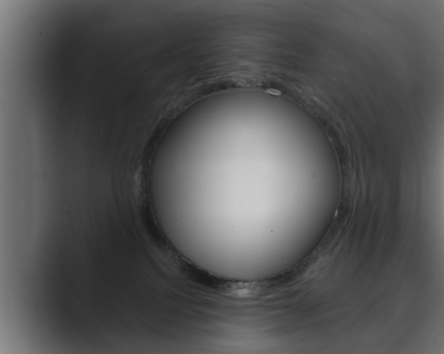 X0000089880088200706281059