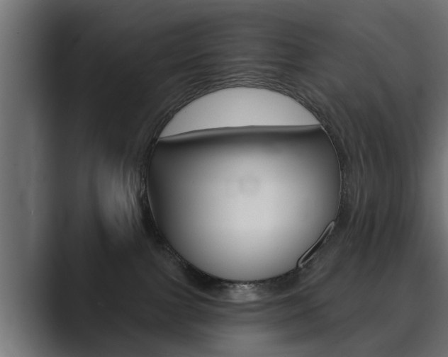 X0000089880091200706281059