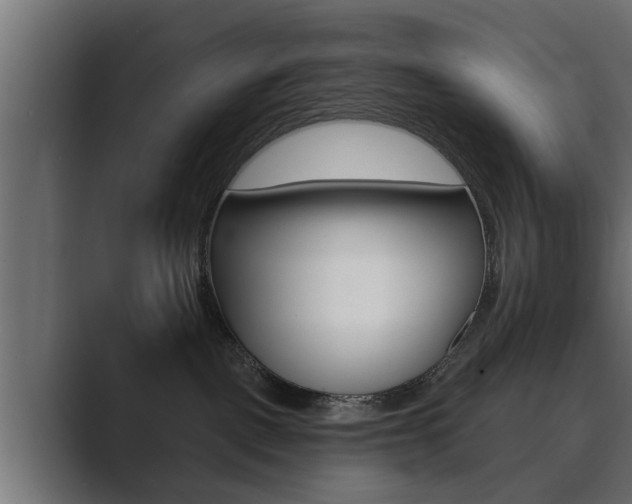 X0000089880093200706281059