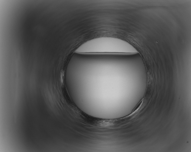 X0000089880094200706281059