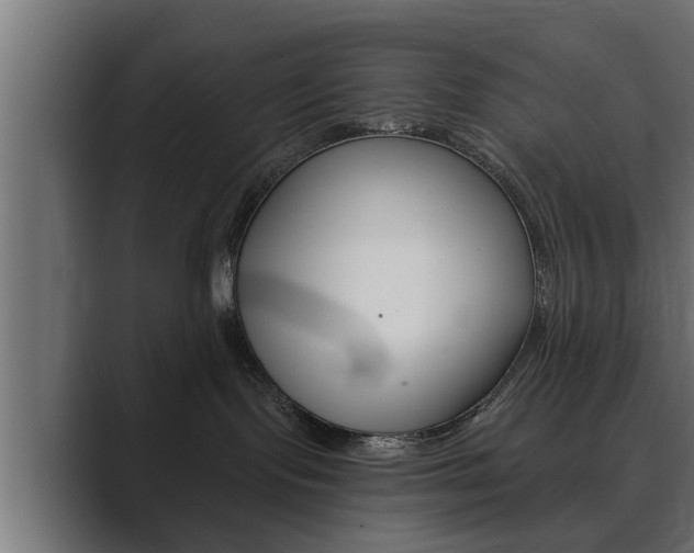 X0000089880095200706281059