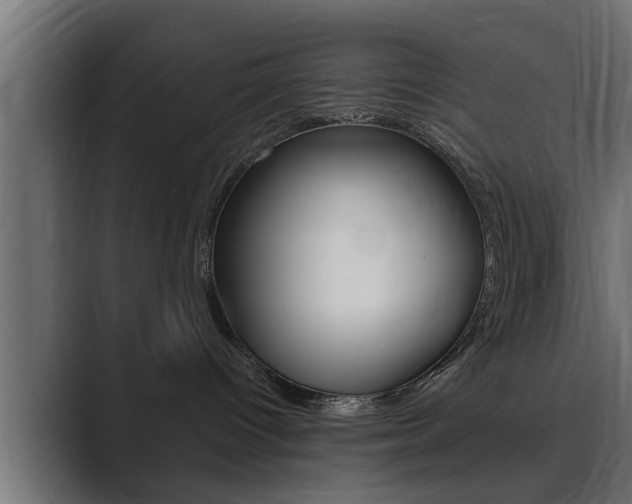 X0000089880096200706281059