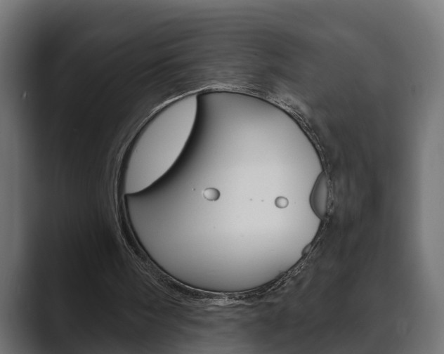 X0000089880098200706281058