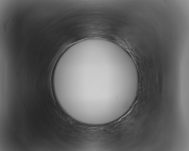 X0000089880099200706281058