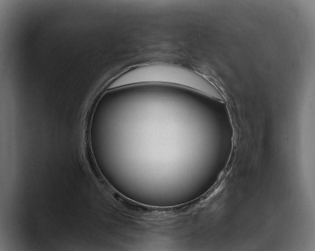 X0000089880101200706281058