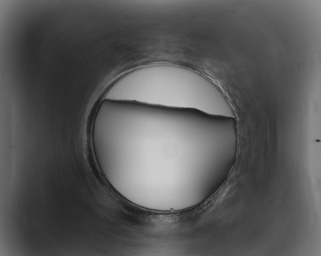 X0000089880102200706281058