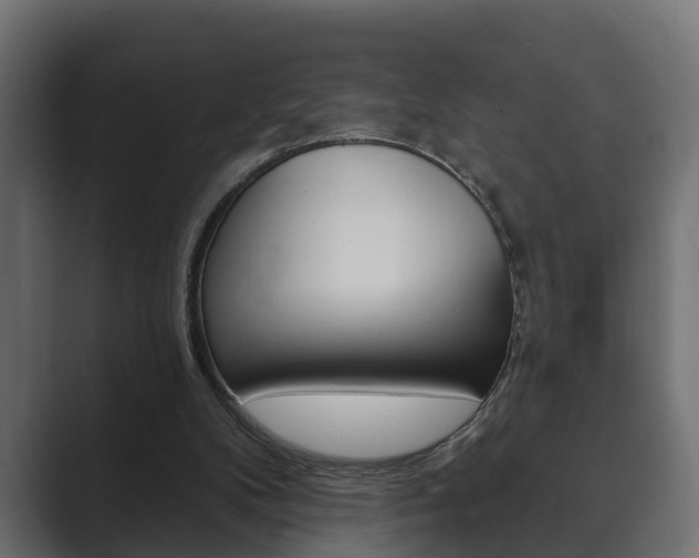 X0000089880104200706281058